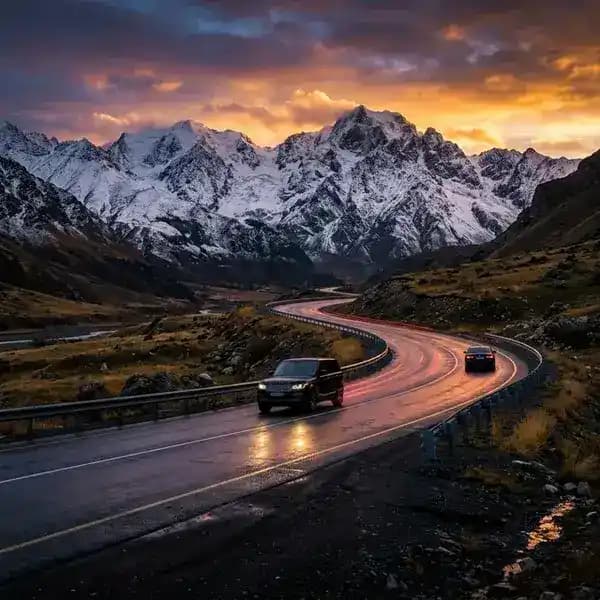 Трансграничные поездки